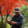 完成した庭園で植物の手入れをする庭師